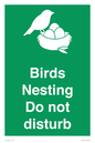 SV16915: Birds Nesting Do not disturb