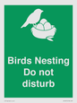 SV16915: Birds Nesting Do not disturb