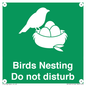 SV16915: Birds Nesting Do not disturb