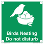 SV16915: Birds Nesting Do not disturb