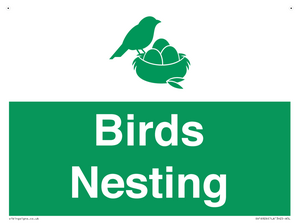 SV16926: Birds Nesting
