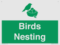 SV16926: Birds Nesting