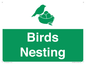 SV16926: Birds Nesting