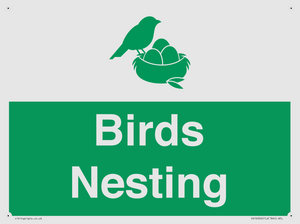 SV16926: Birds Nesting