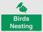 SV16926: Birds Nesting