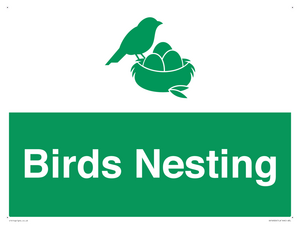 SV16926: Birds Nesting