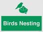 SV16926: Birds Nesting