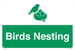 SV16926: Birds Nesting