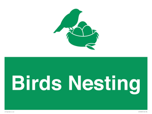 SV16926: Birds Nesting