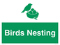 SV16926: Birds Nesting