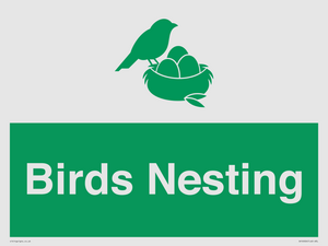 SV16926: Birds Nesting
