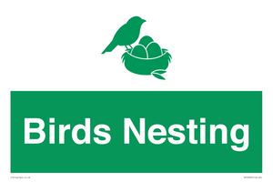 SV16926: Birds Nesting