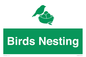 SV16926: Birds Nesting