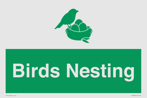 SV16926: Birds Nesting