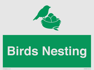 SV16926: Birds Nesting