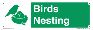 SV16926: Birds Nesting