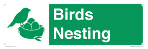 SV16926: Birds Nesting