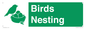 SV16926: Birds Nesting