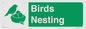 SV16926: Birds Nesting