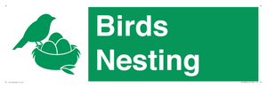 SV16926: Birds Nesting