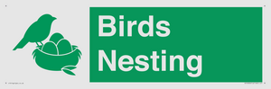 SV16926: Birds Nesting