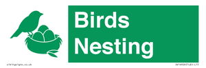 SV16926: Birds Nesting