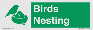 SV16926: Birds Nesting