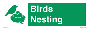 SV16926: Birds Nesting