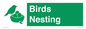 SV16926: Birds Nesting