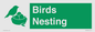 SV16926: Birds Nesting