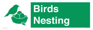 SV16926: Birds Nesting
