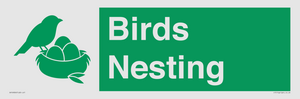 SV16926: Birds Nesting