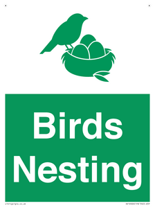 SV16926: Birds Nesting