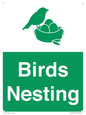 SV16926: Birds Nesting