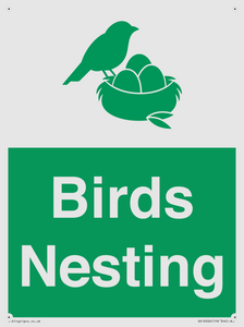 SV16926: Birds Nesting