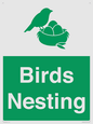 SV16926: Birds Nesting