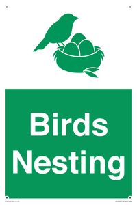 SV16926: Birds Nesting