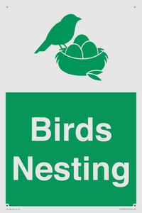 SV16926: Birds Nesting