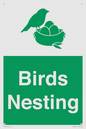 SV16926: Birds Nesting