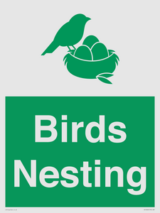 SV16926: Birds Nesting
