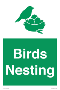 SV16926: Birds Nesting