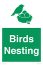 SV16926: Birds Nesting