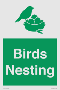 SV16926: Birds Nesting