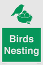 SV16926: Birds Nesting