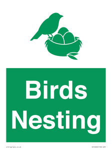 SV16926: Birds Nesting