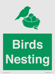 SV16926: Birds Nesting