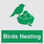 SV16926: Birds Nesting