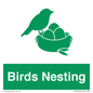 SV16926: Birds Nesting
