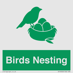 SV16926: Birds Nesting