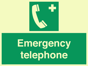 SV411: emergency telephone